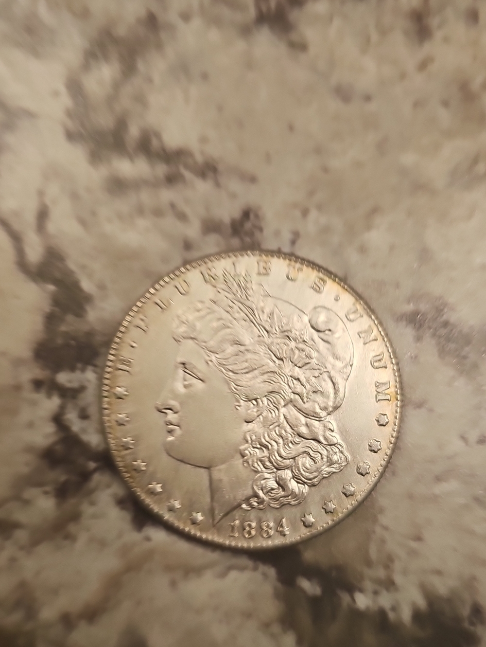 Morgan Silver Dollar Style Decorative Coin Accent in Silver